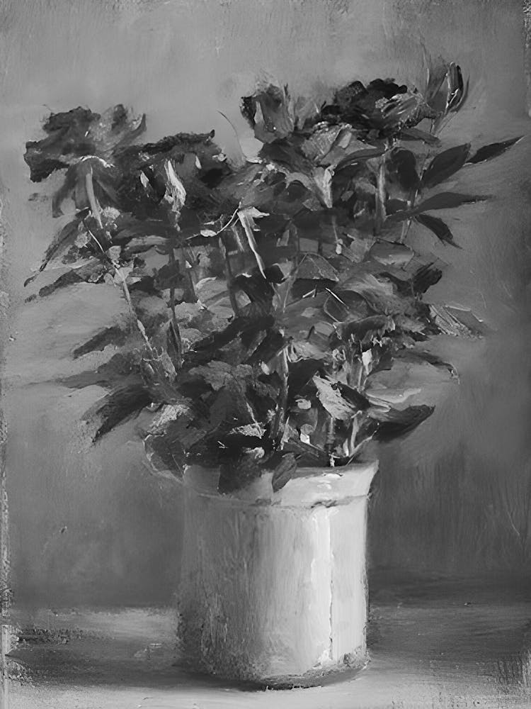 Roses In A Pot