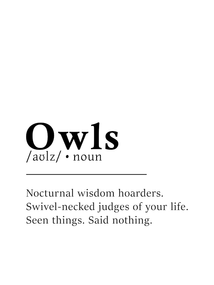 Owls Definition Poster - Dictionary