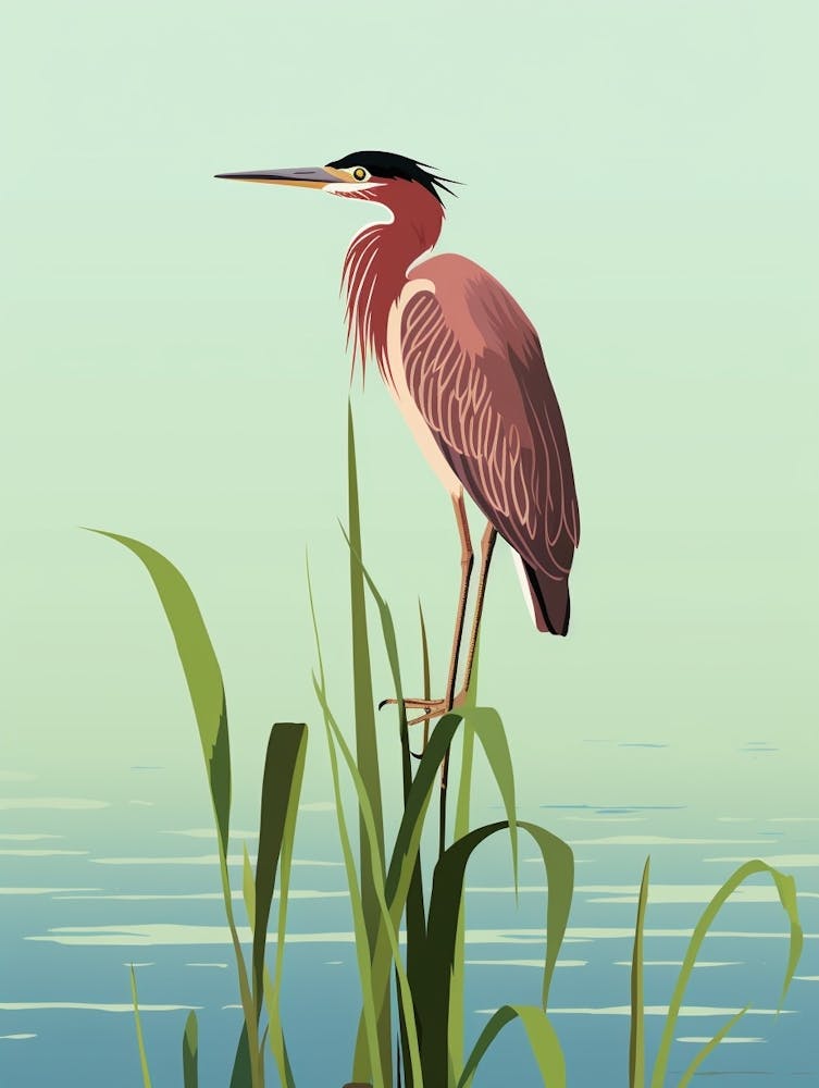 Minimalist Green Heron 2 Illustration