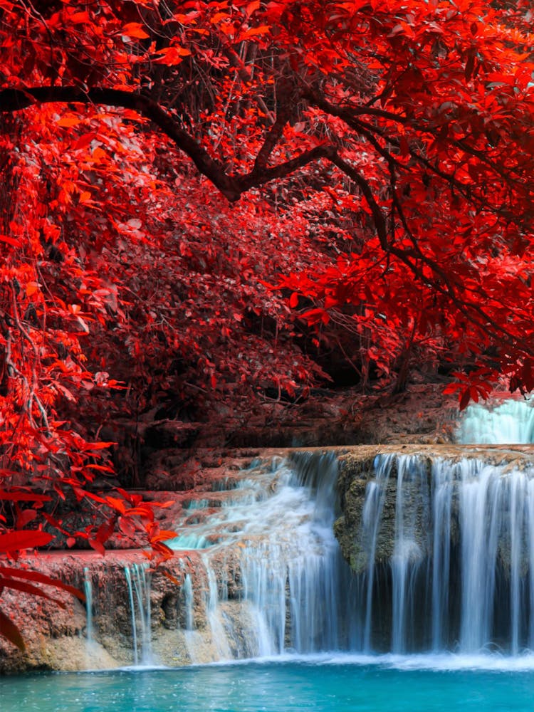 Waterfall In Red Leaves