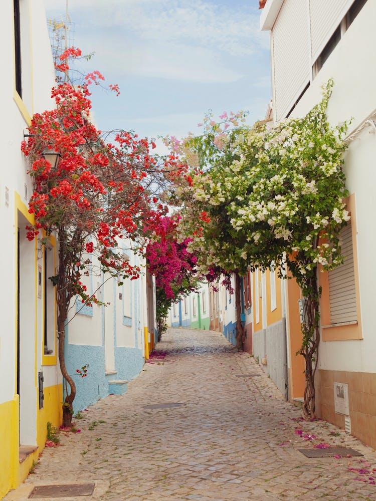 Portugal Reise Kunstdruck 1