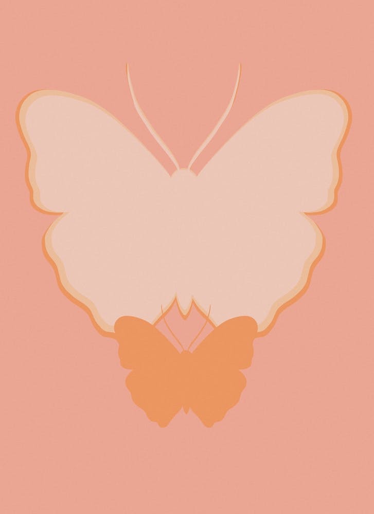 Coral Butterfly