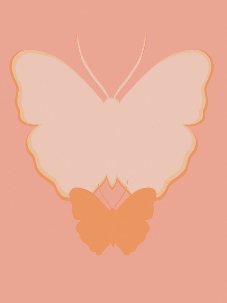 Coral Butterfly