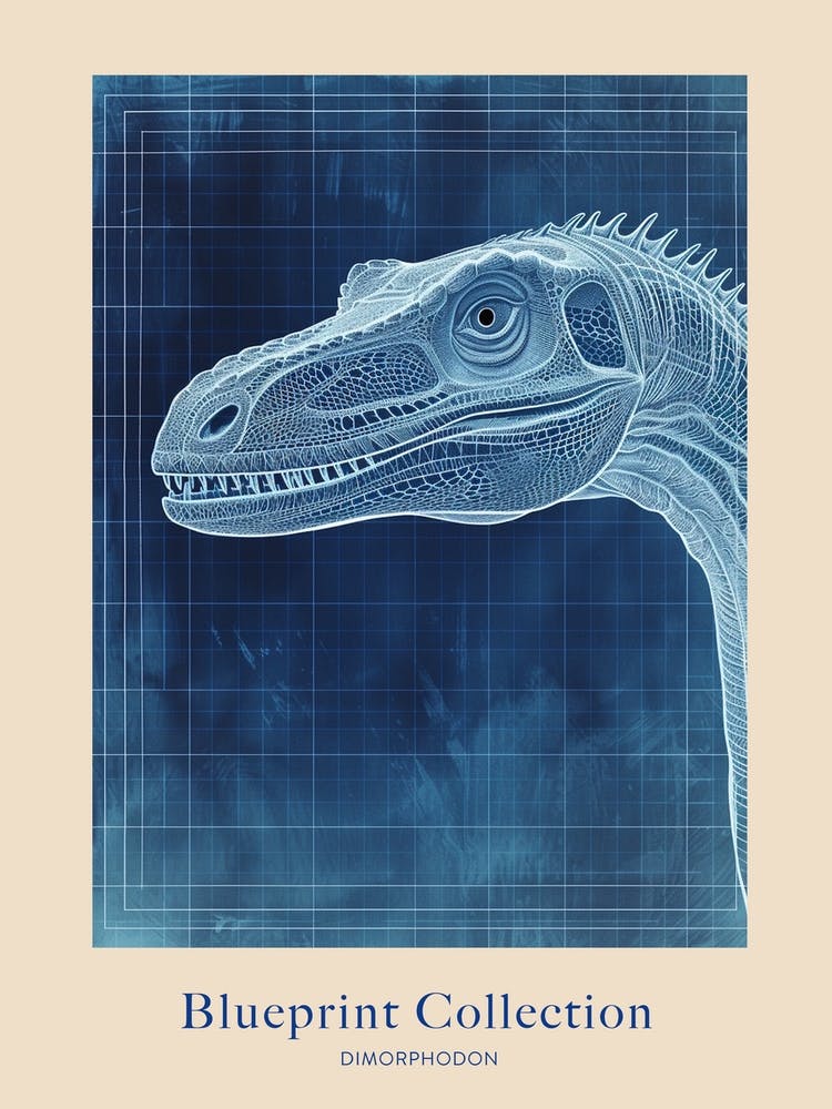 Dimorphodon Dinosaur Blue Print Style 3 Poster
