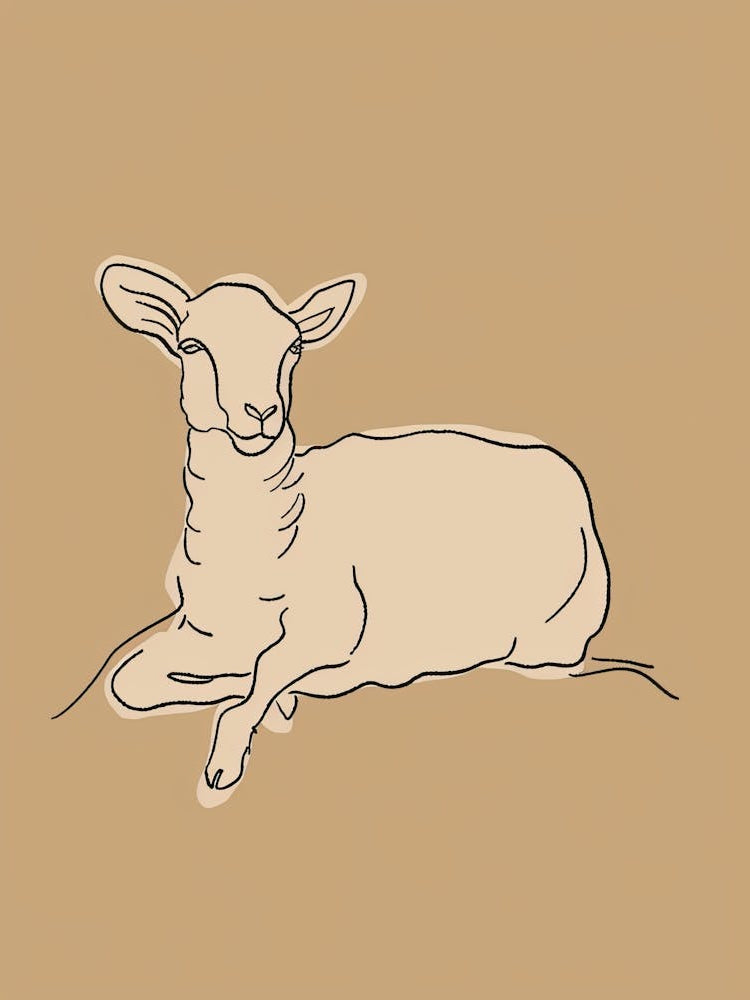 Sheep - Boho, Line Art 4