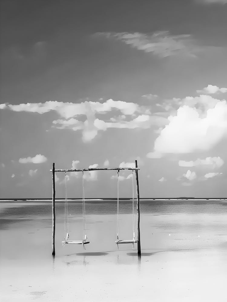 Swings On The Beach