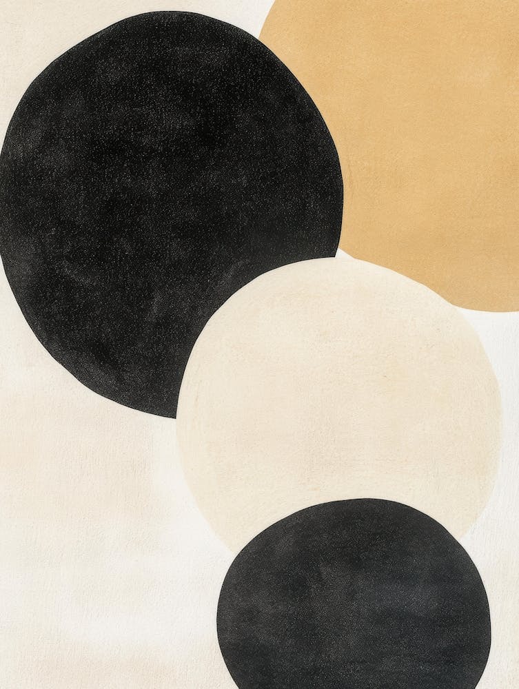 Black And White Circles 13