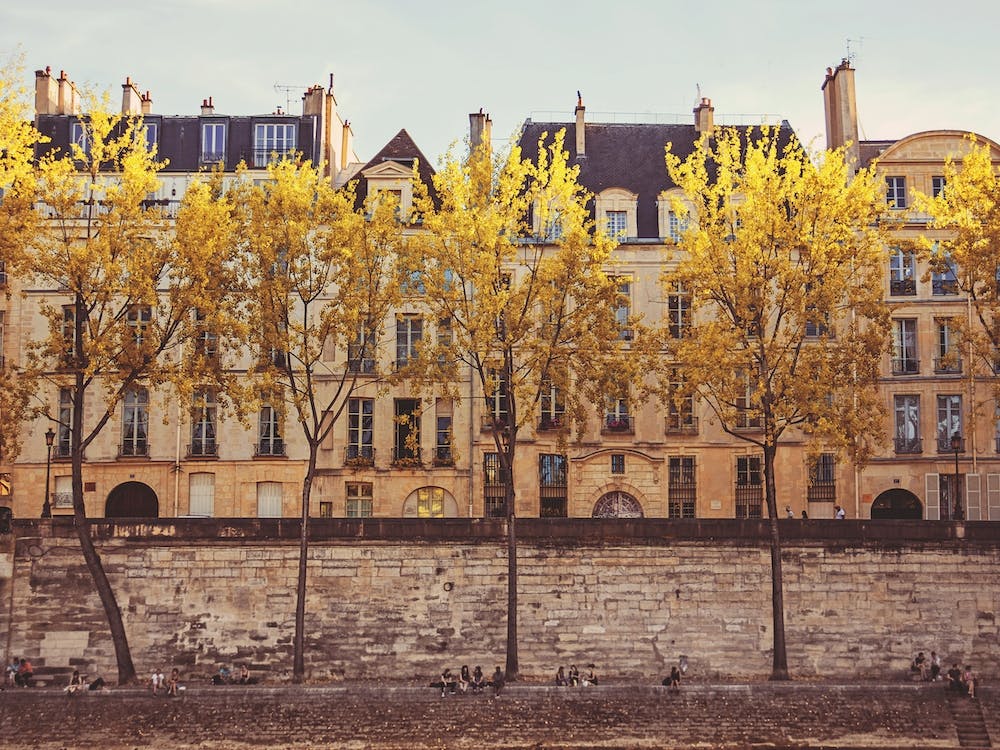Paris Fall