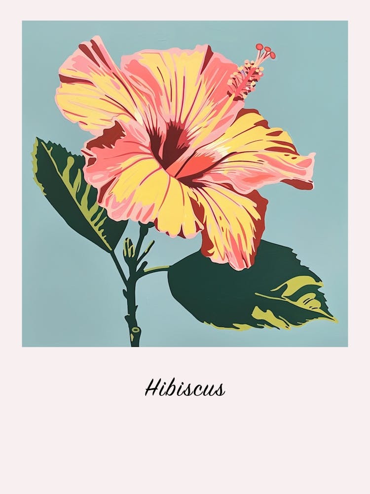 Hibiskus 5 Quadratische Blumenillustration Poster