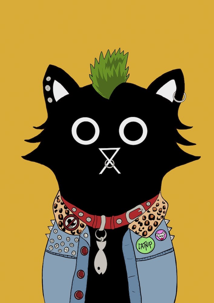 Punk Cat