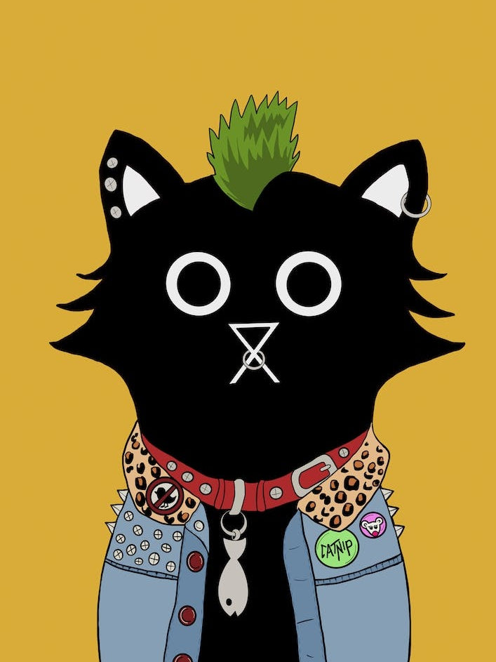 Punk Cat
