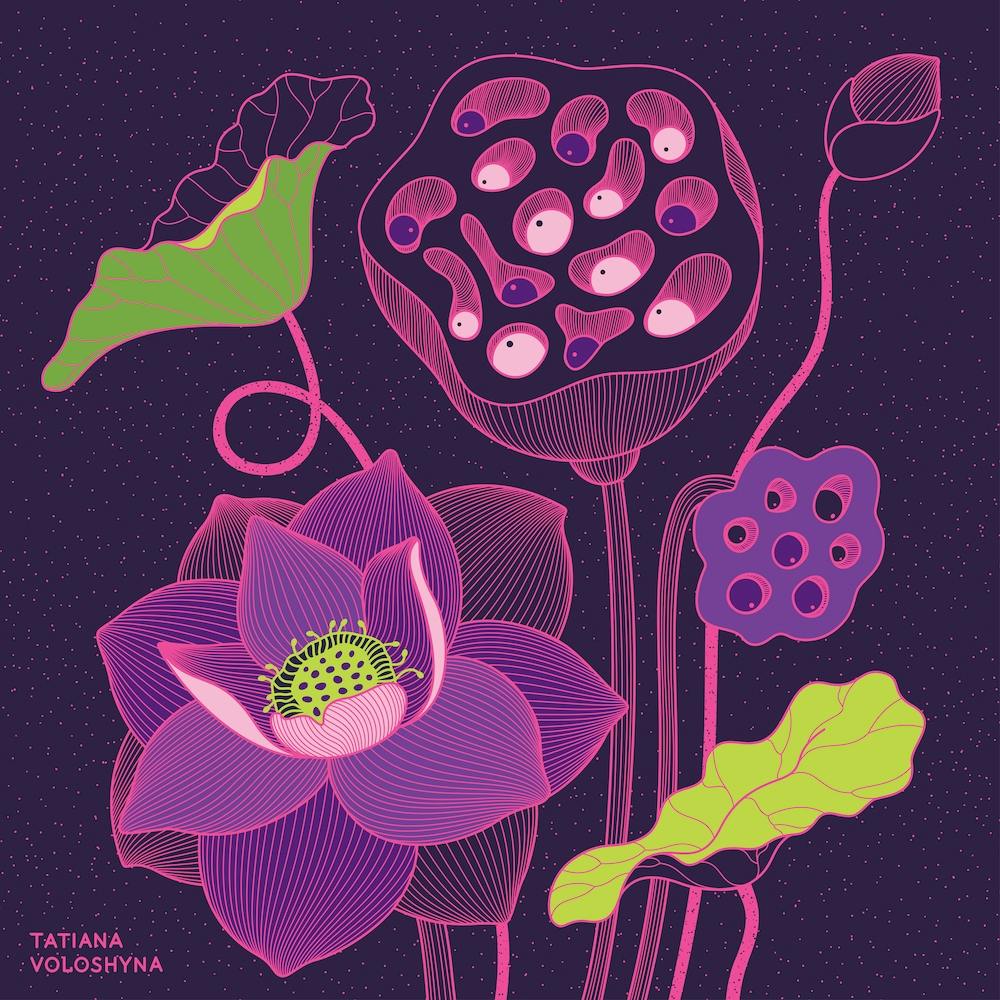 Fleurs de lotus Carré