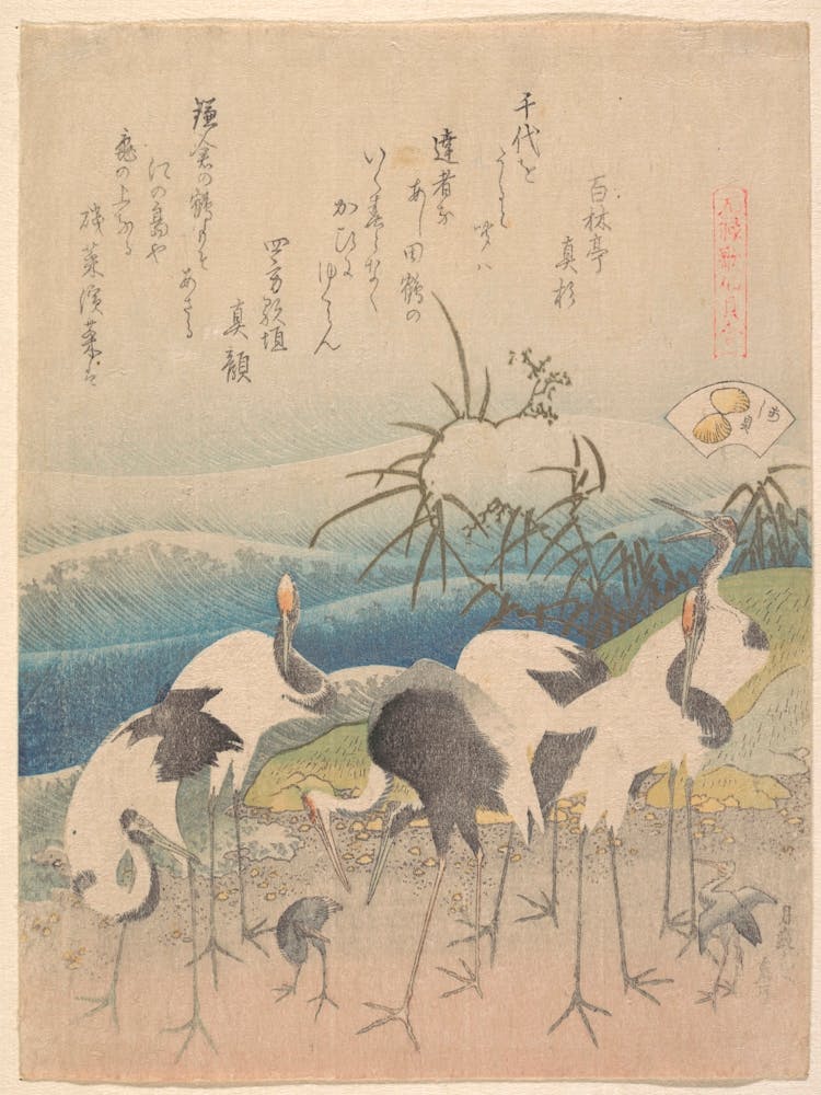 Ashi Clam, From The Series Genroku Kasen Kai Awase, Katsushika Hokusai