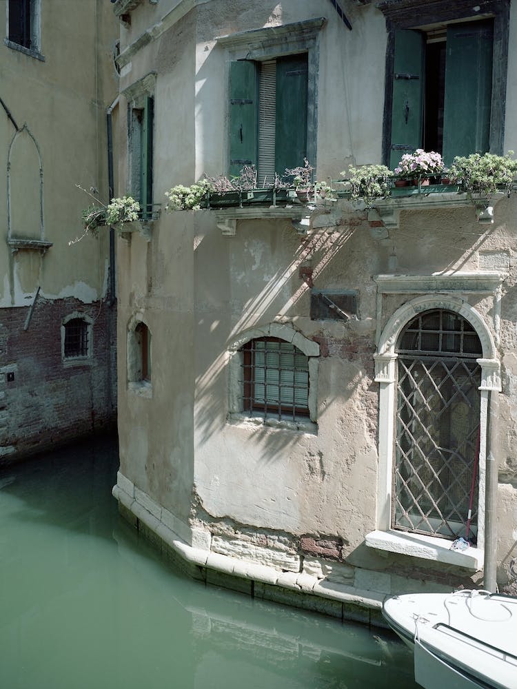 Venezia E Una Citta Verda 01