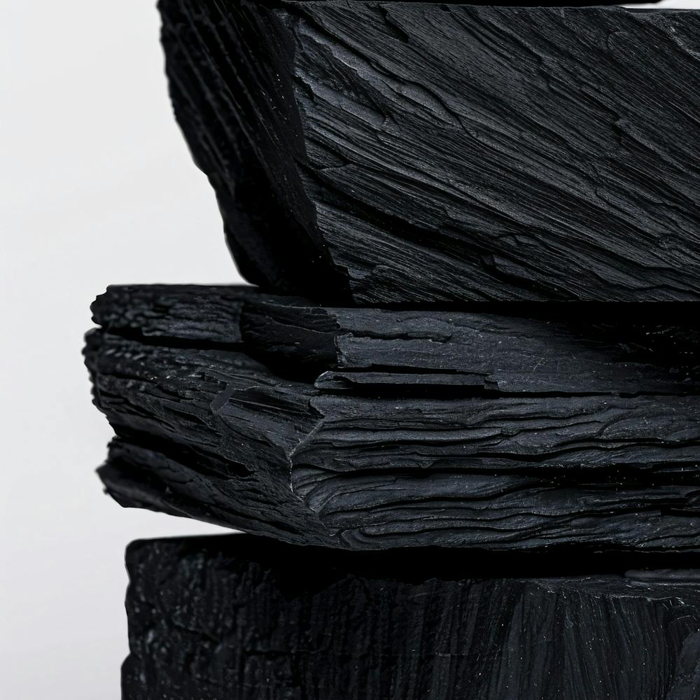 Schwarze Holzkohle