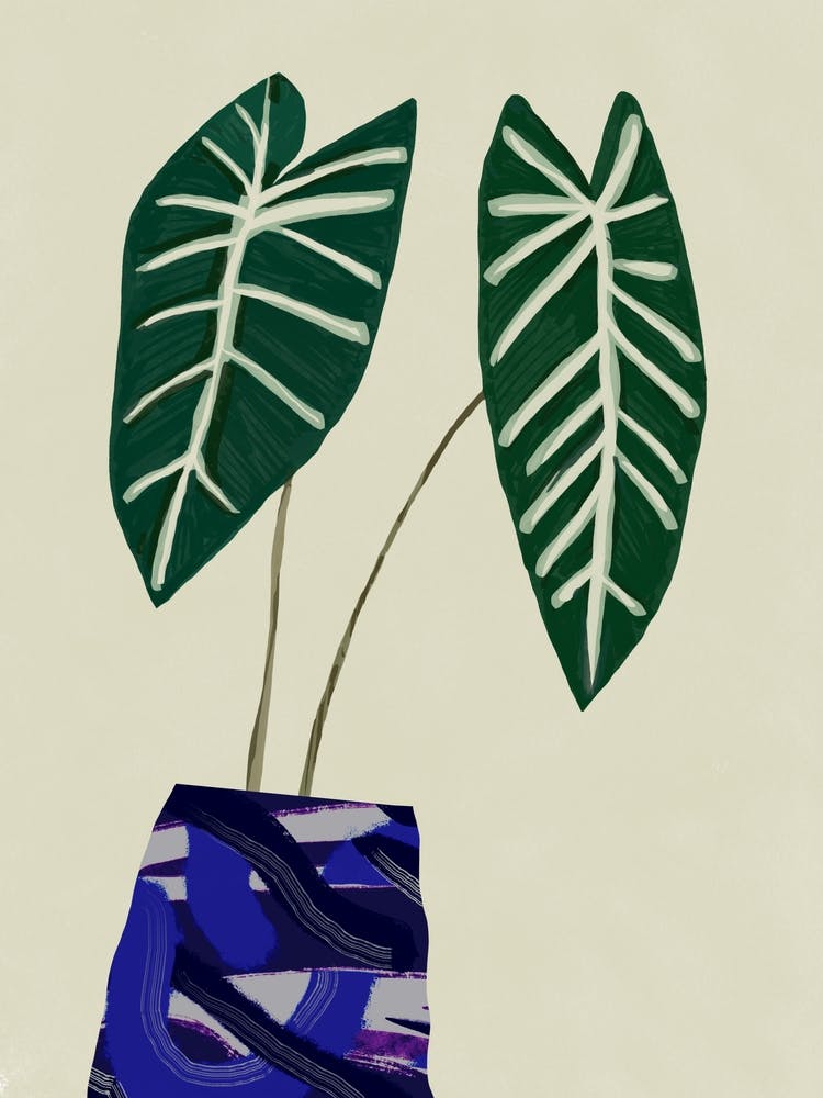 Two Plants In A Blue Vase