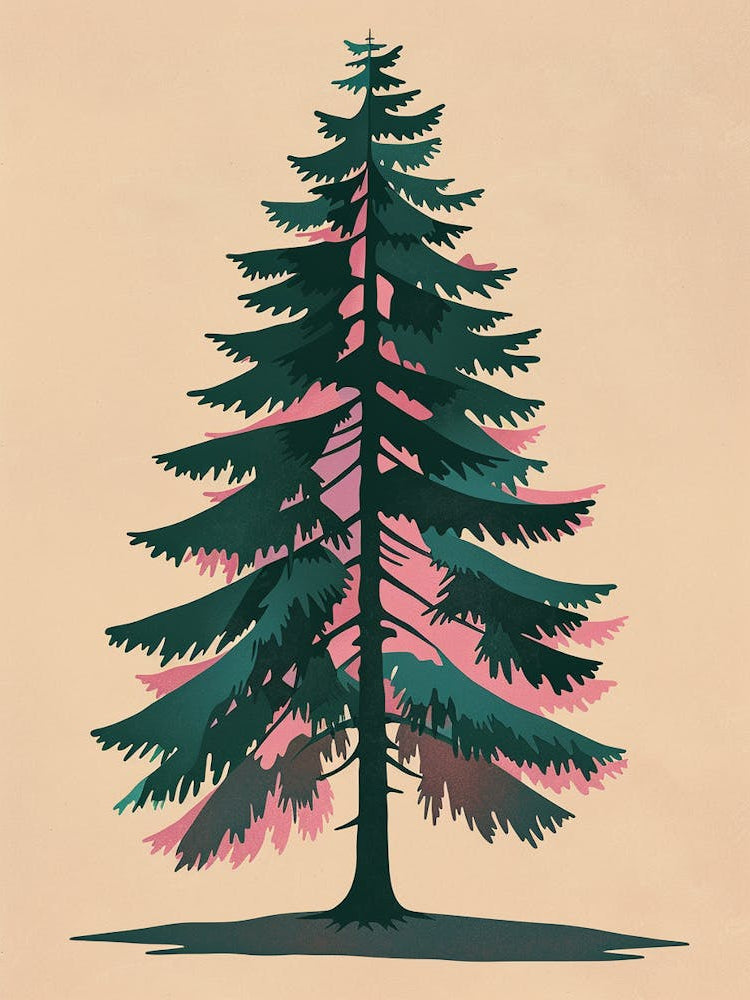 Douglas Fir Tree Illustration Colourful 3