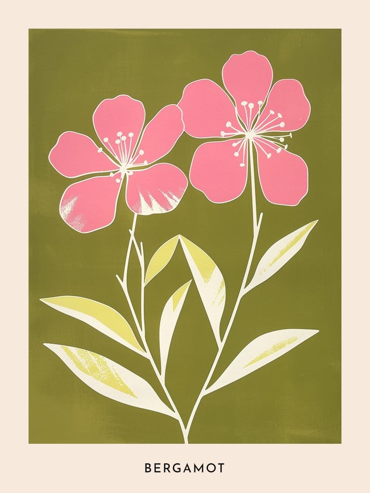 Pink & Green Bergamot 2 Flower Poster