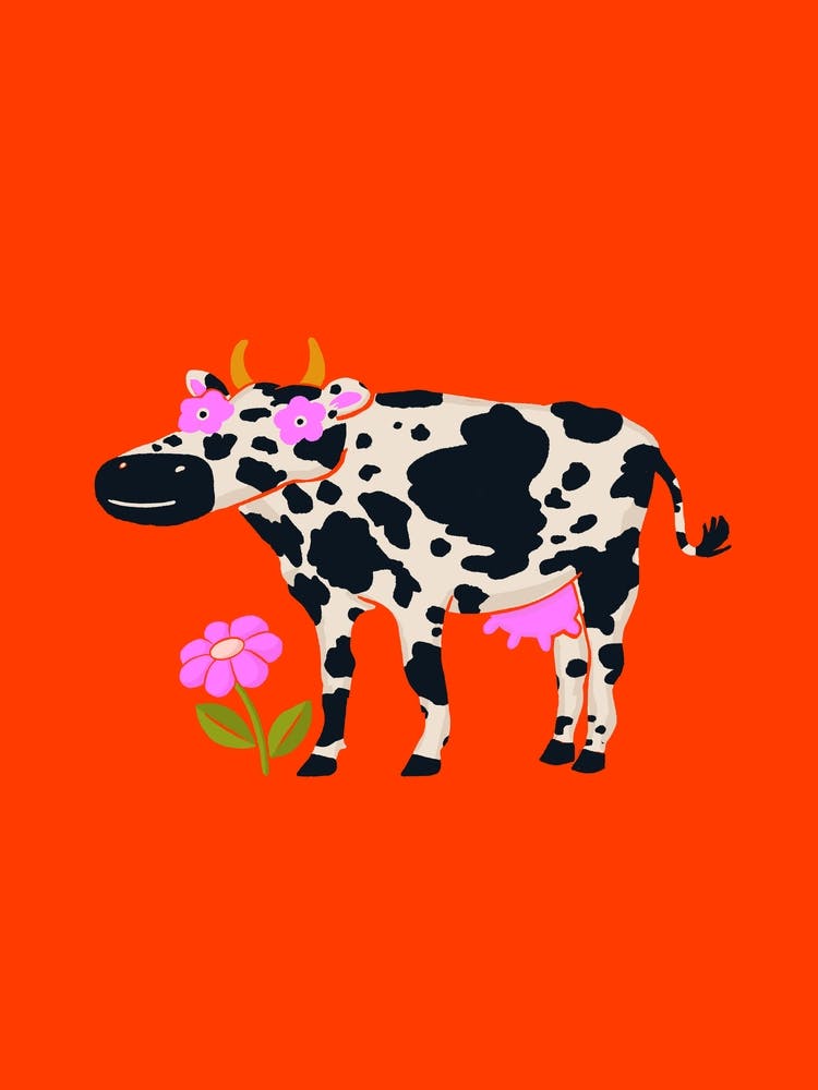 Grazing Cow