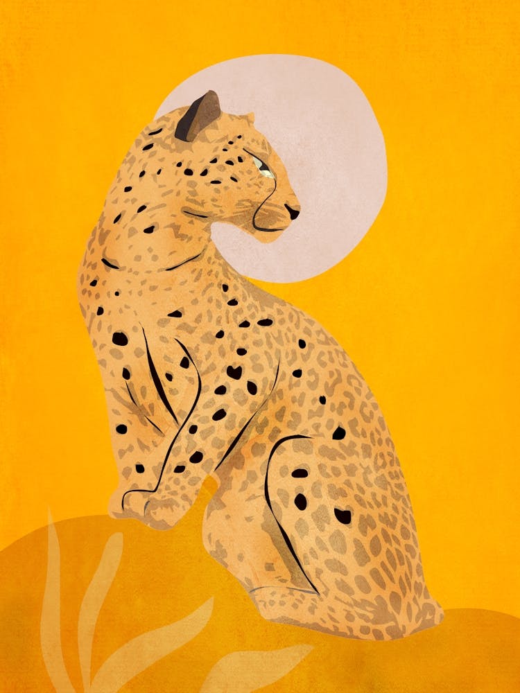 Leopard