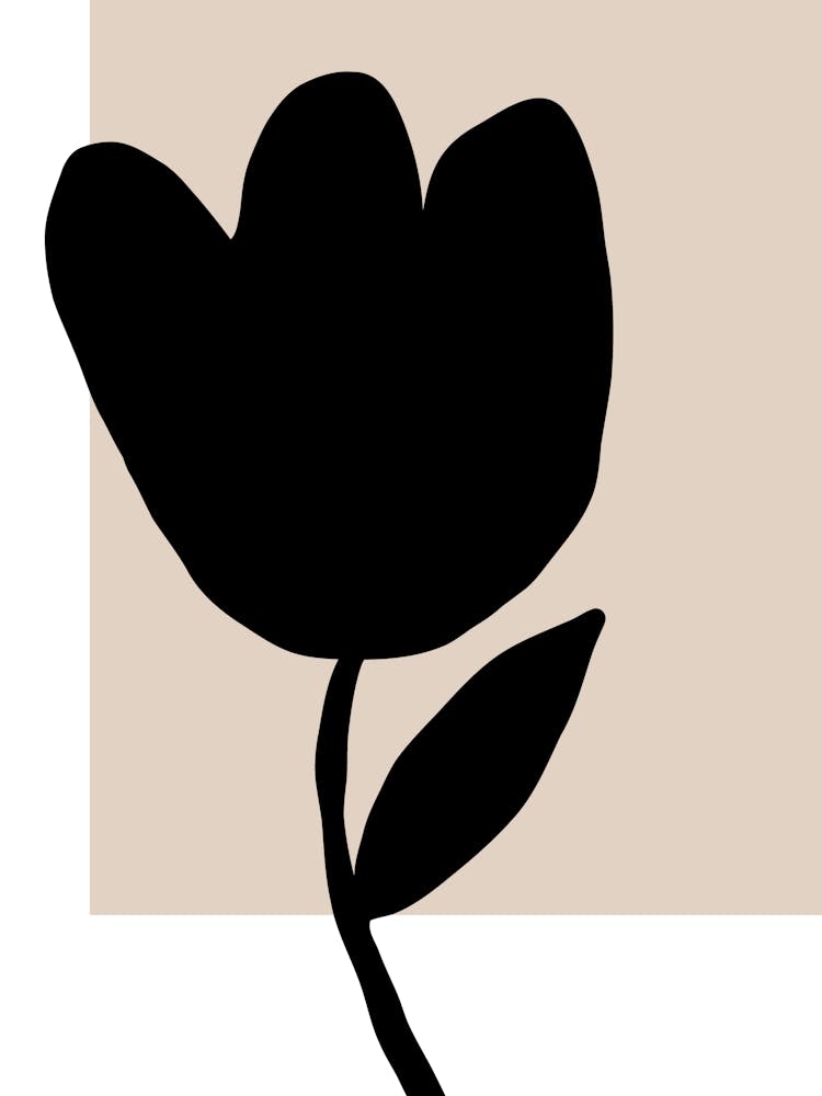 Delicate line no 22