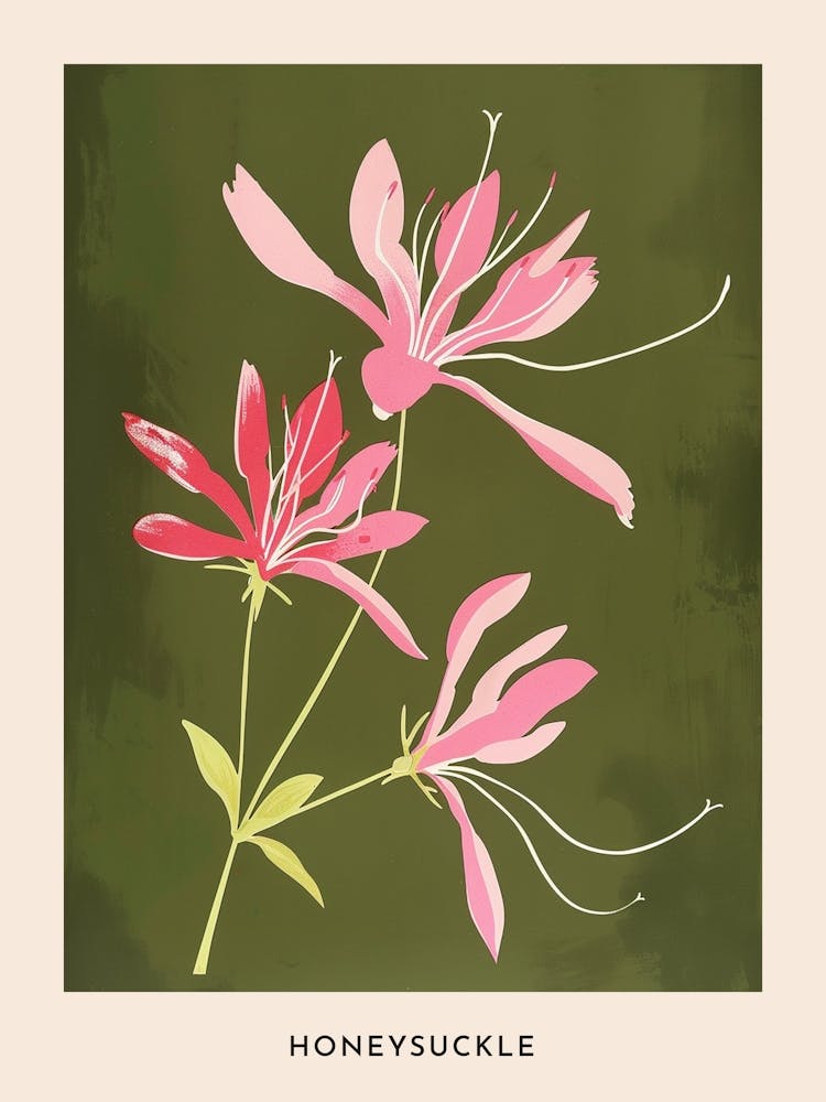 Pink & Green Honeysuckle 2 Flower Poster