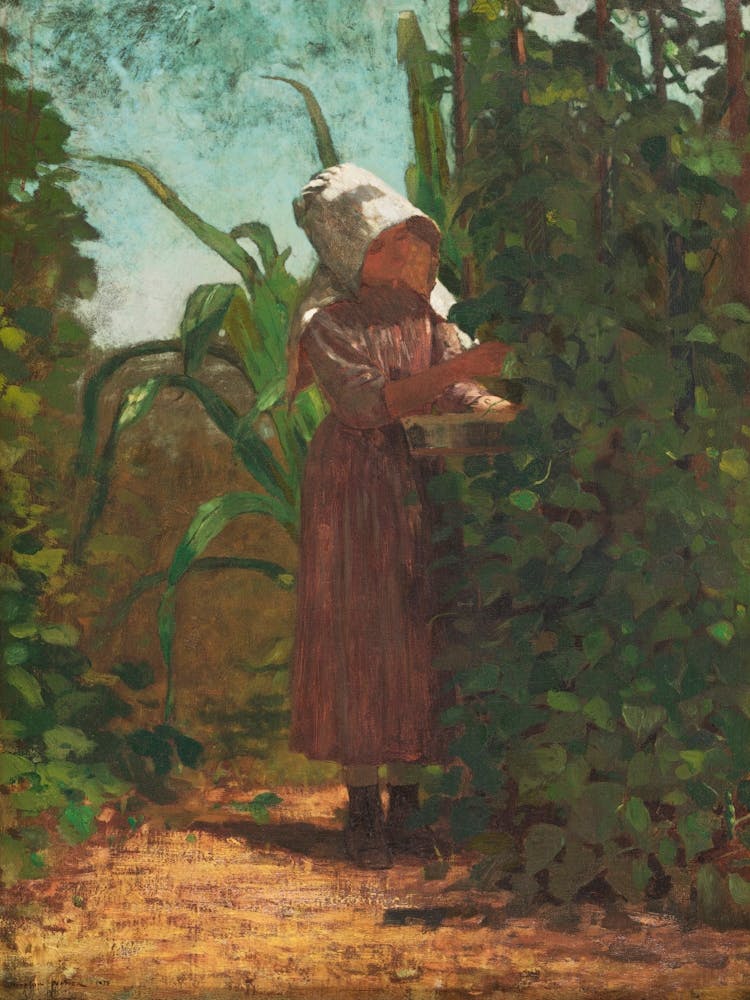 The Bean Picker, Winslow Homer