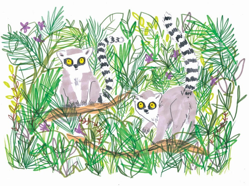 Jungle Lemurs