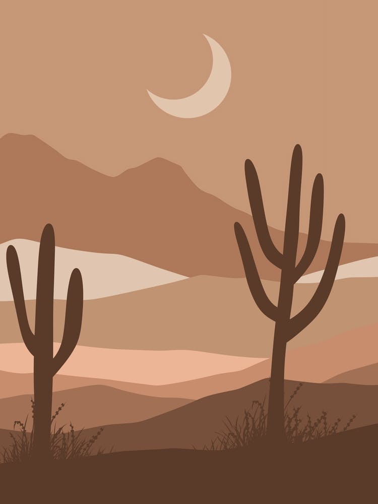 Cactus In The Desert 24