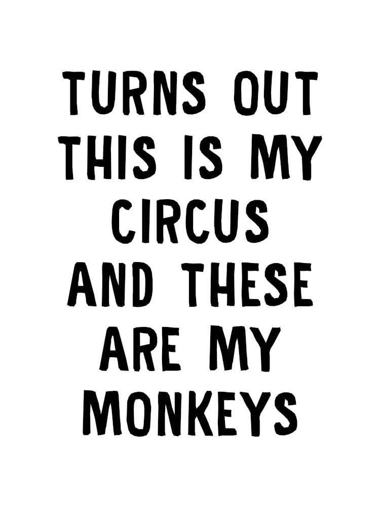 Turns Out These Are My Monkeys