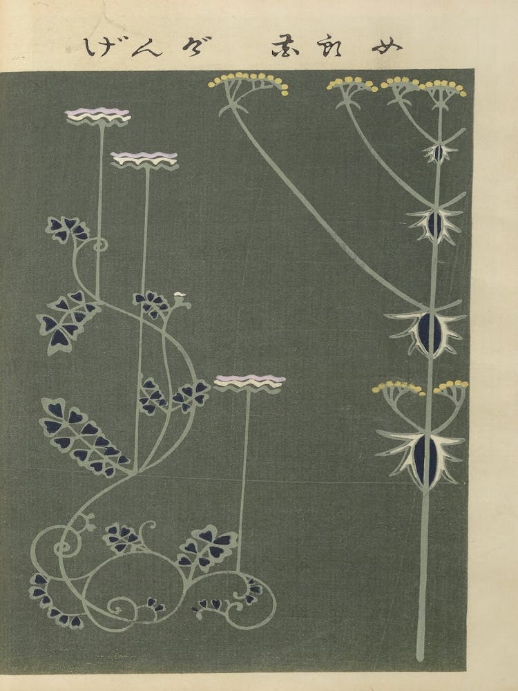 Flowering Plant