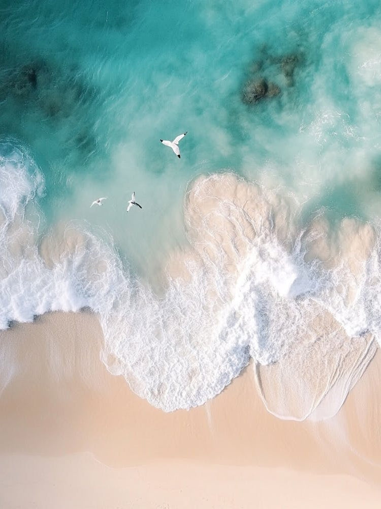 Aerial View Of A Beach 85