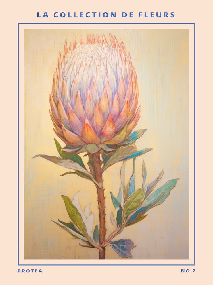Protea 2 French Flower Botanical Poster