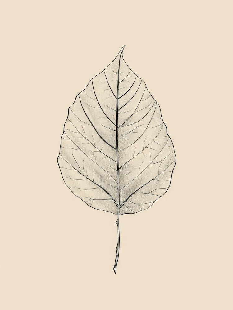 Leaf Drawing