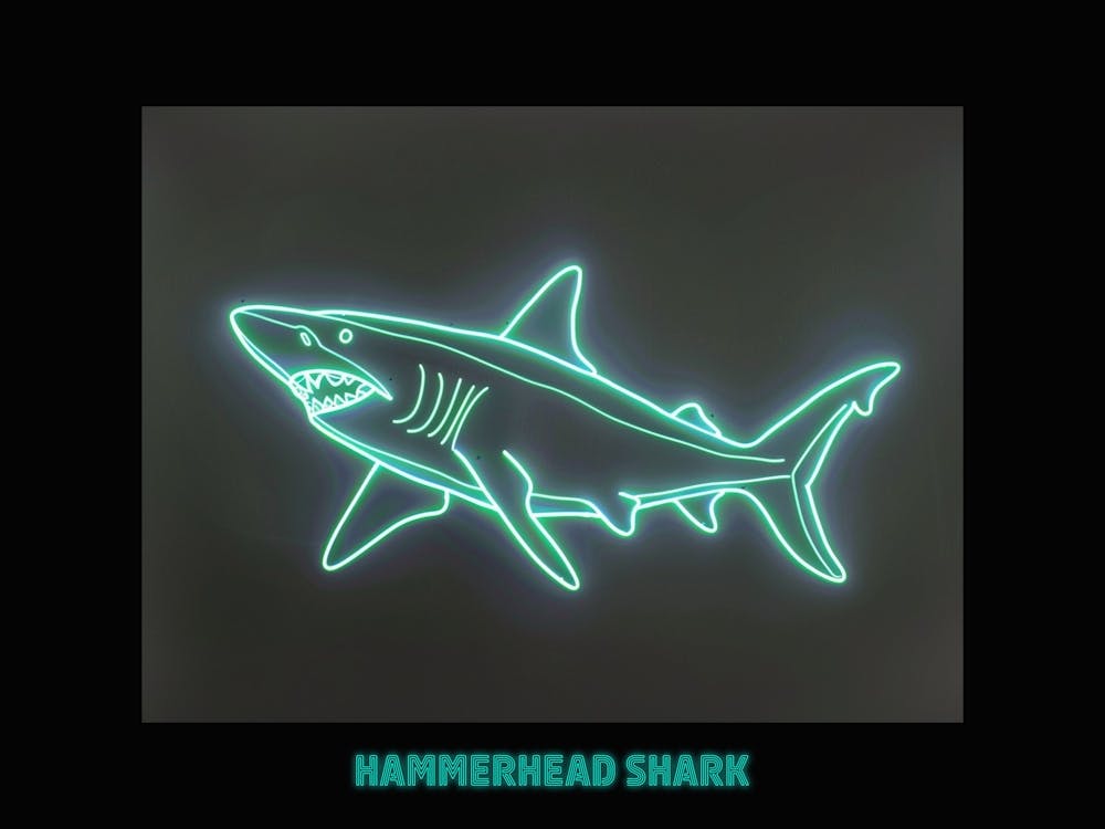 Requin Marteau Festonné Vert Néon 7 Affiche