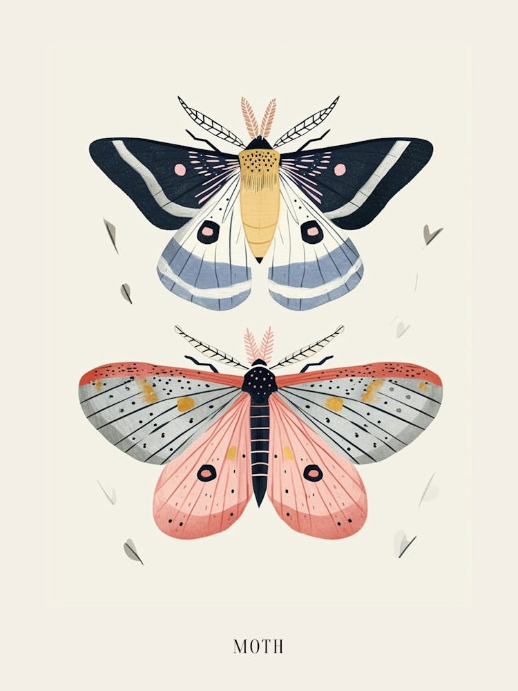 Colourful Insect Illustration Moth 27 Poster