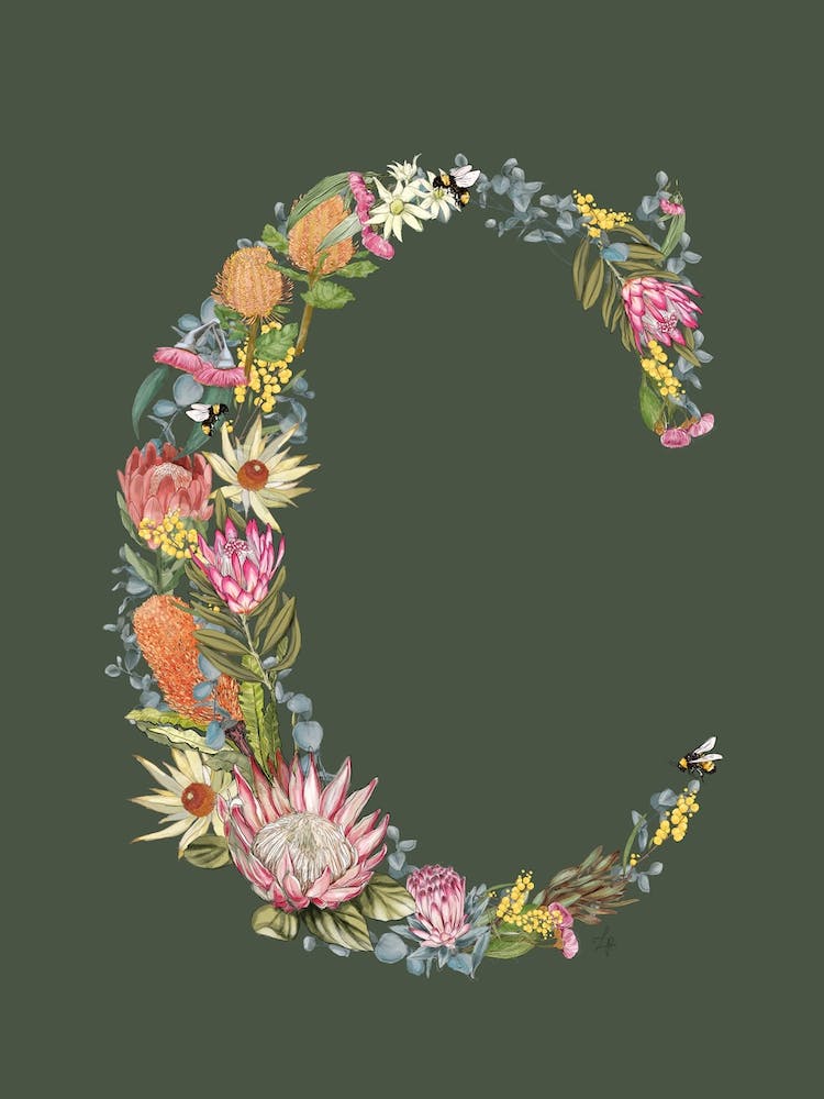 C Olive Alphabet Letter