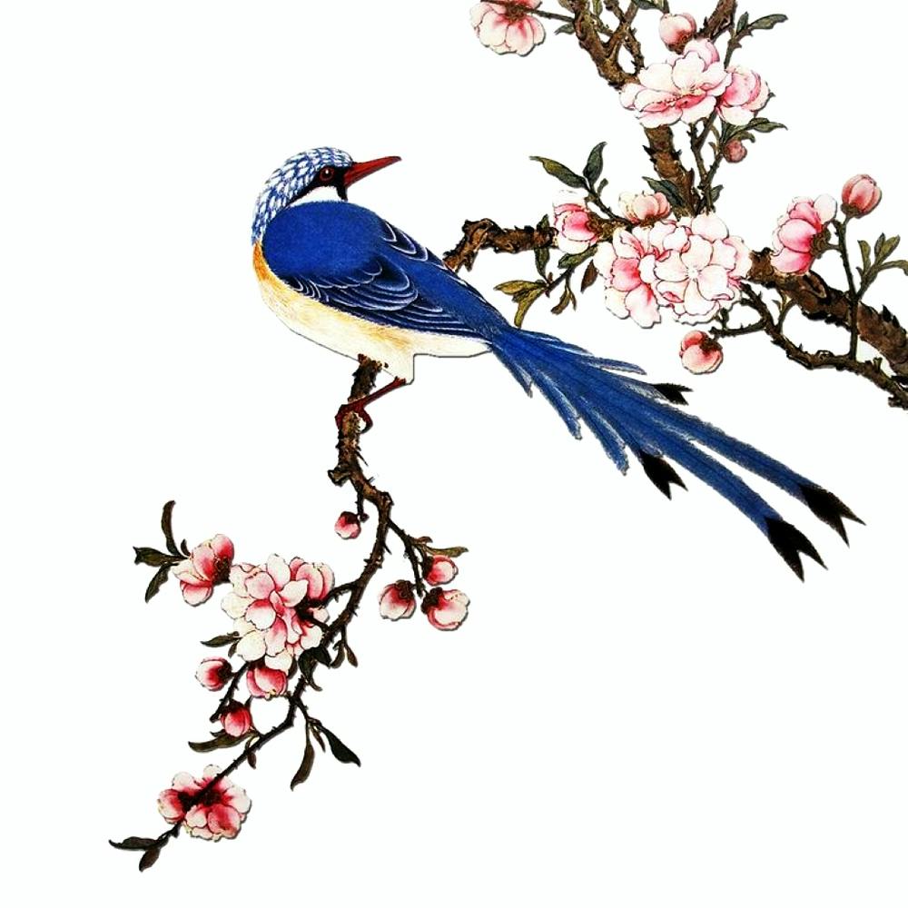 birds and cherry blossoms