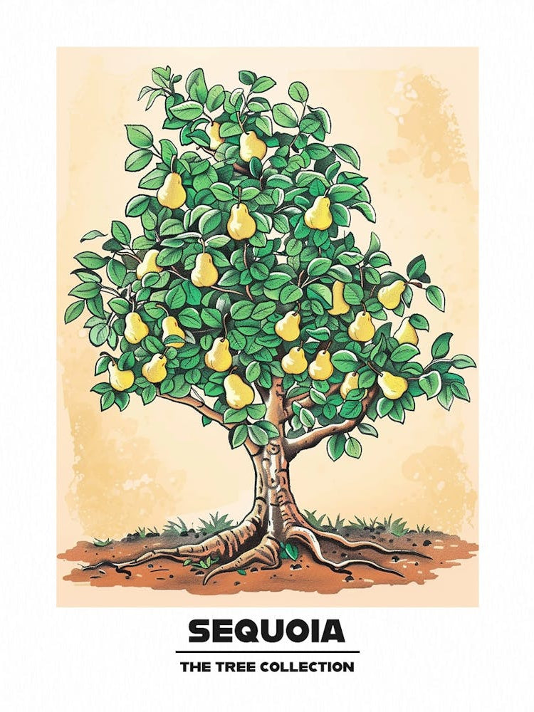 Sequoia Tree Storybook Illustration 1 Poster