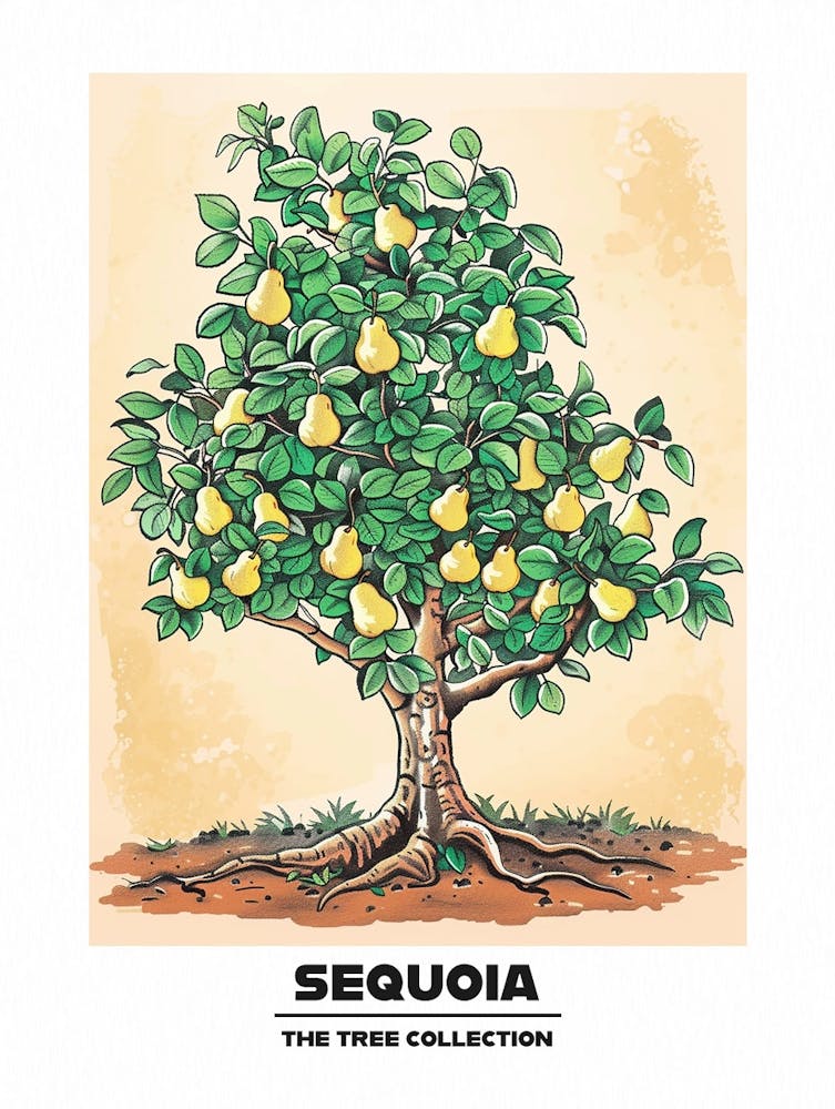 Sequoia Tree Storybook Illustration 1 Poster