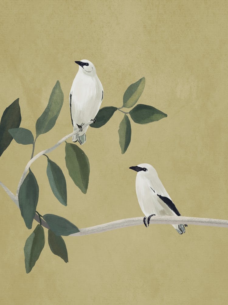 Minimalist Birds On Branch