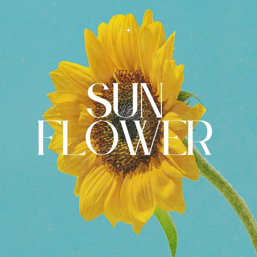 Sun Flower