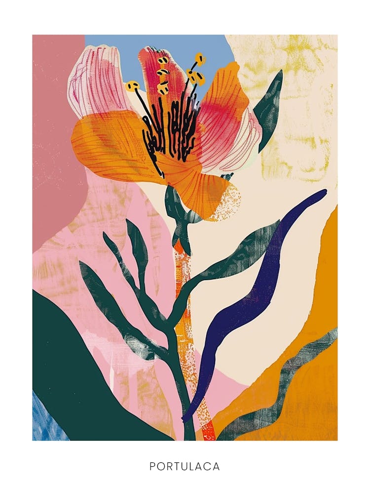 Colourful Flower Illustration Poster Portulaca 3