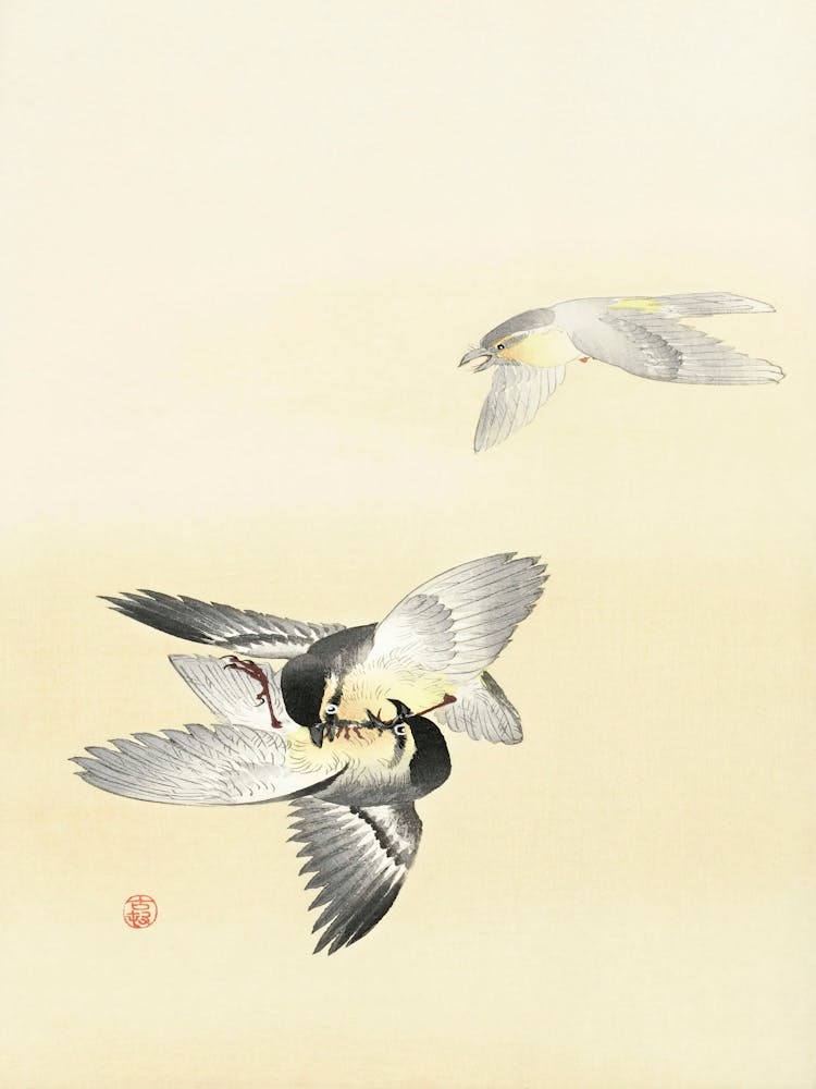 Two Fighting Birds (1900 1936), Ohara Koson
