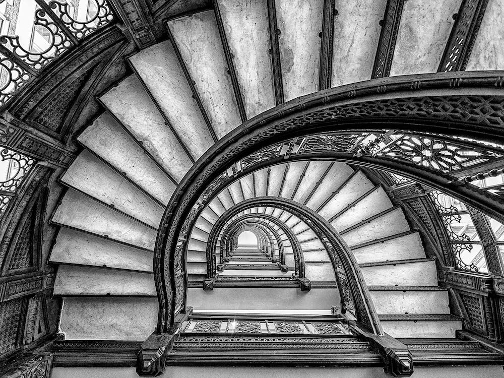 The Rookery