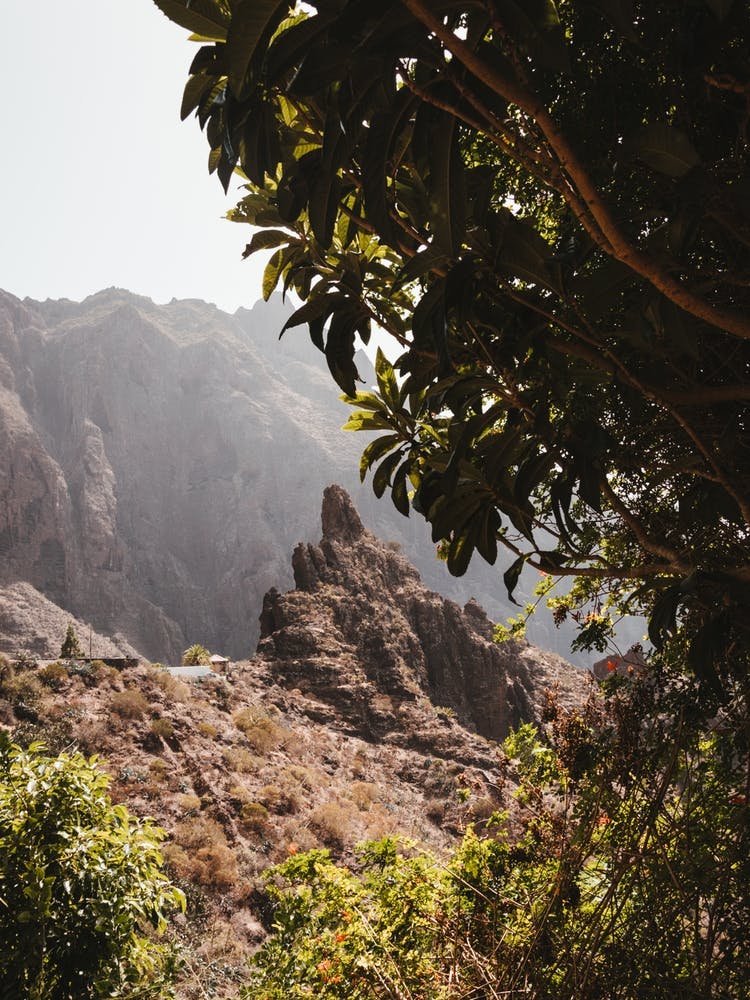 View of Masca Valley, Tenerife, Canary Islands
