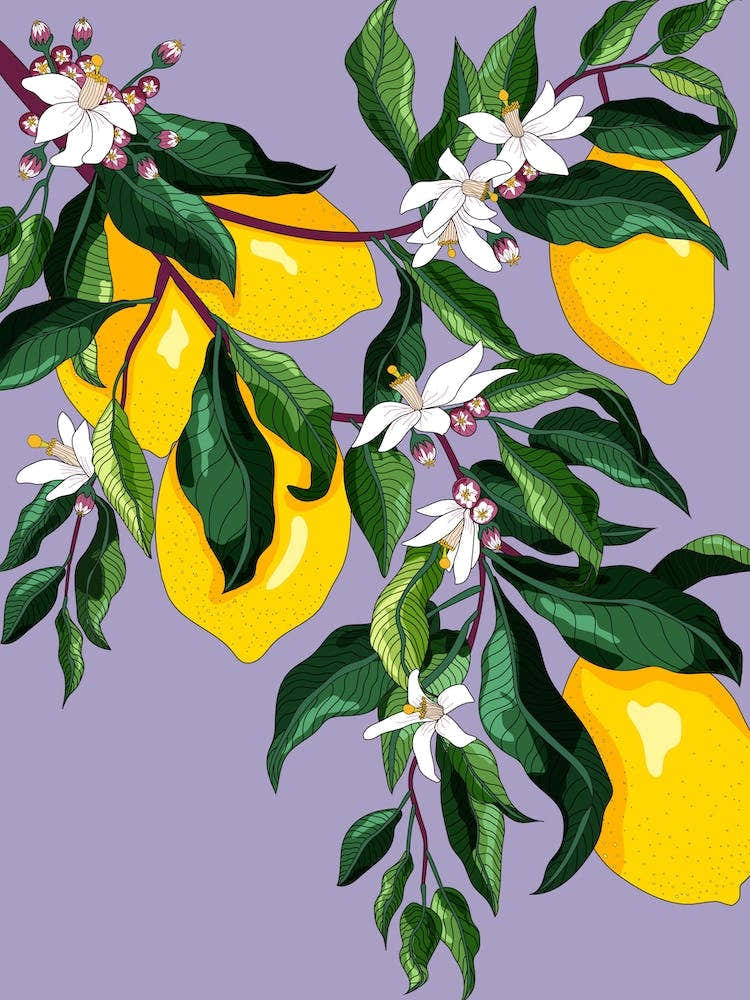 Lemon Blossom