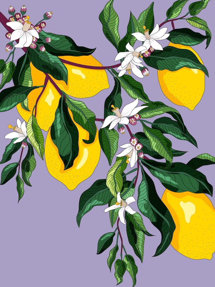 Lemon Blossom