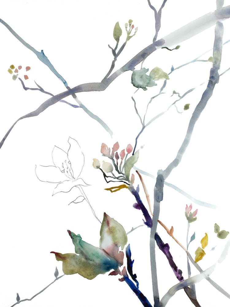 Cherry Blossom 4