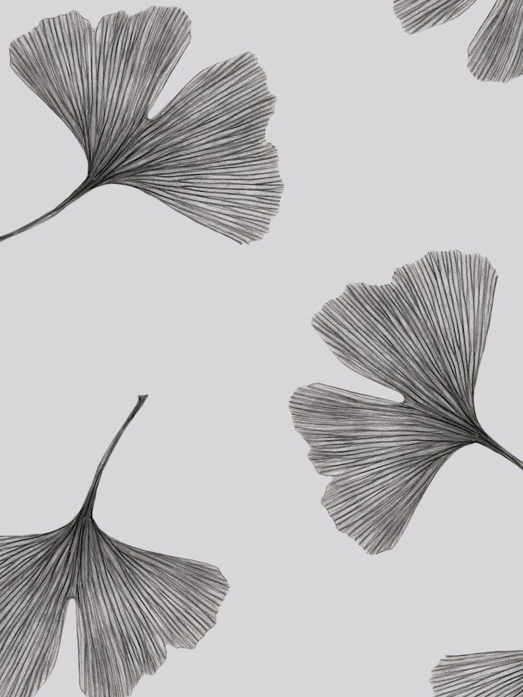 Motif Ginkgo Noir et Blanc